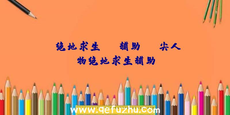 「绝地求生NOV辅助」|嵿尖人物绝地求生辅助